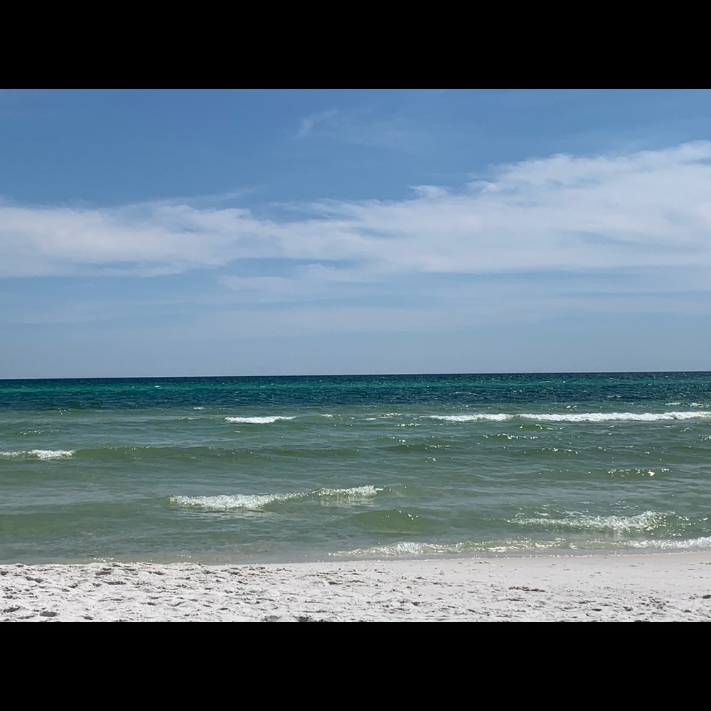 Meet your Posher, Karli